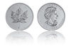 Picture of Palladium Maple Leaf - 1 Troy oz (Random Year)